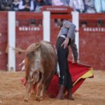 Ciudad Rodrigo, sábado 22 de febrero de 2020