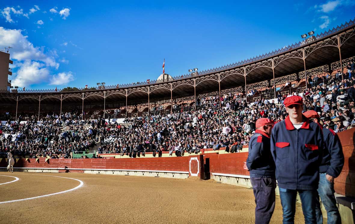 Castellón y Alicante ofrecen sus plazas de toros para la vacunación masiva