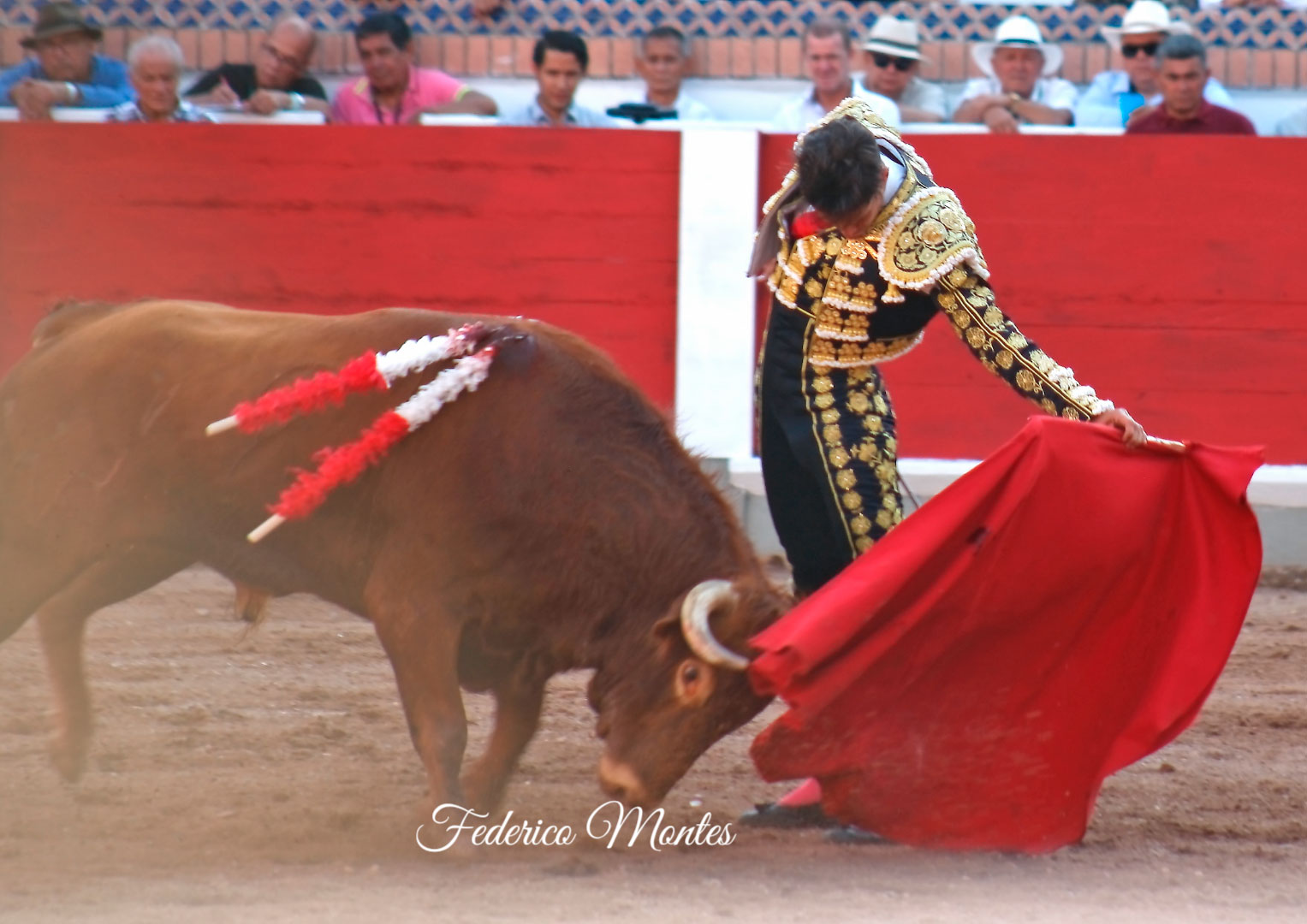 San Cristóbal (Venezuela), 31 de enero de 2020.