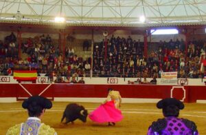 Plaza de toros de Tobarra