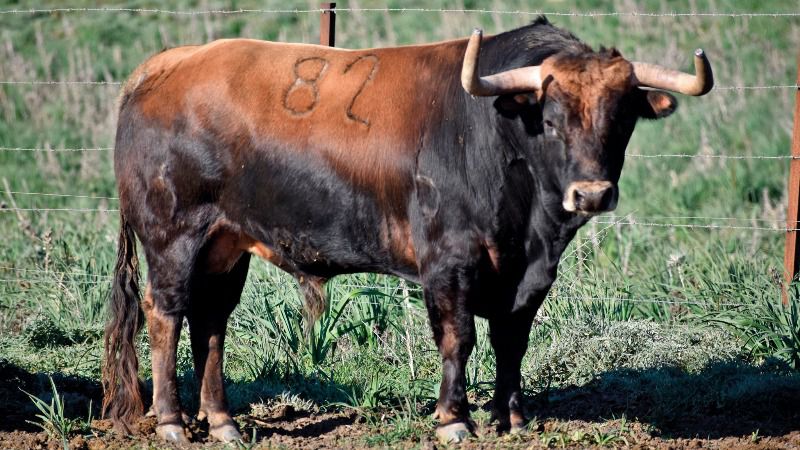 Un año para ganar crédito