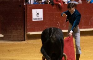 Arroyo de la Encomienda, domingo 16 de febrero de 2020