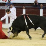 Bogotá, domingo 16 de febrero de 2020.