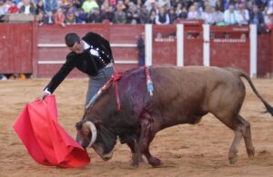 Ciudad Rodrigo, sábado 22 de febrero de 2020