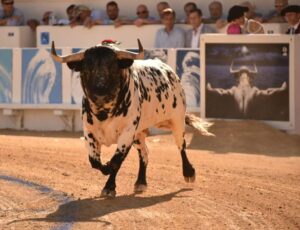 Beziers, jueves 15 de agosto de 2019
