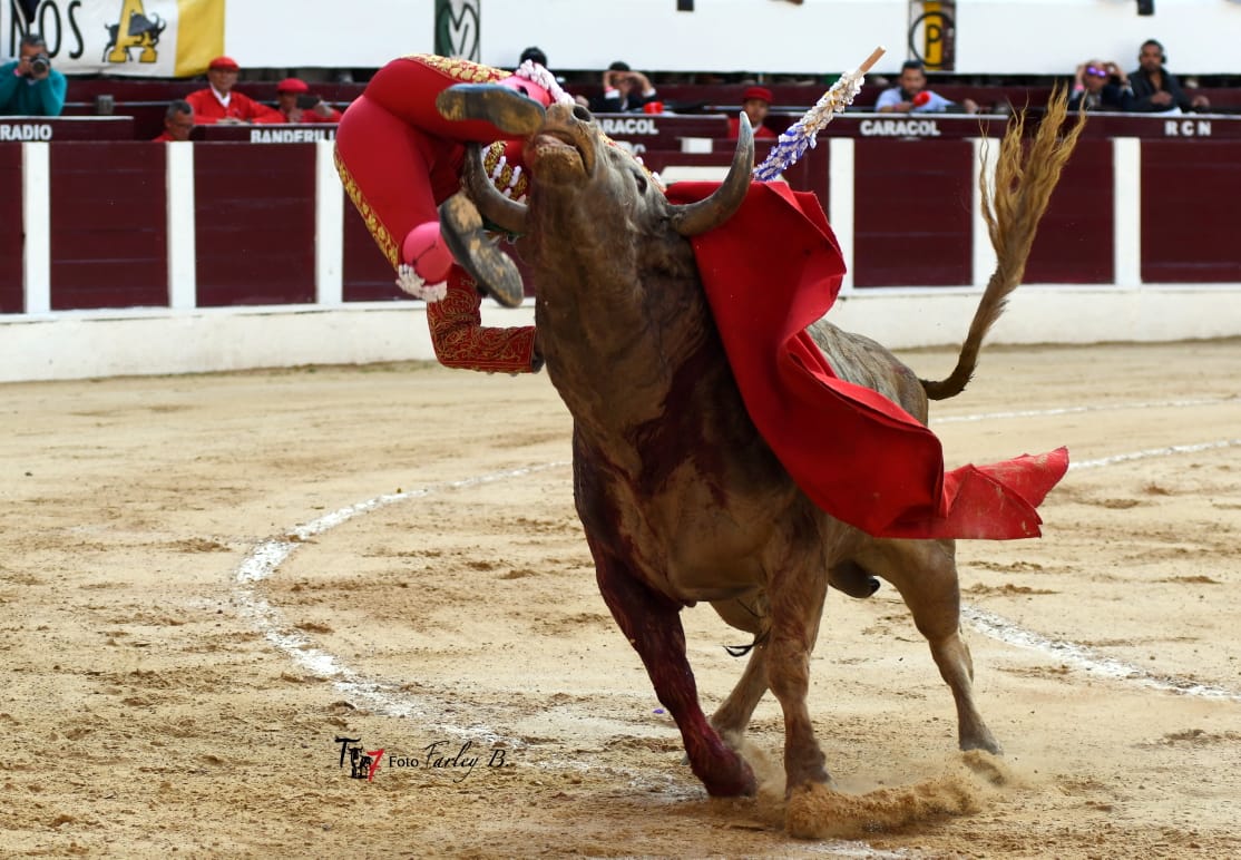 La cornada a Ferrera tiene tres trayectorias de 20, 15 y 4 cm en la zona del Triángulo de Scarpa