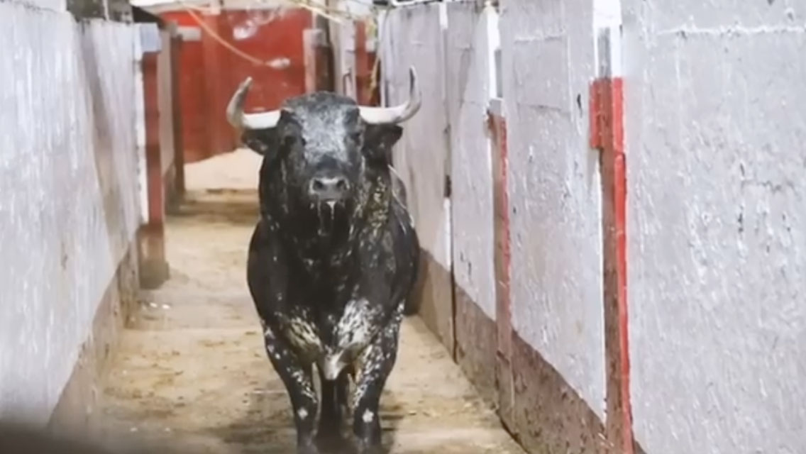 Los de Jaral de Peñas para la segunda del Aniversario