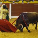 Illescas (Toledo), 7 de marzo de 2020.