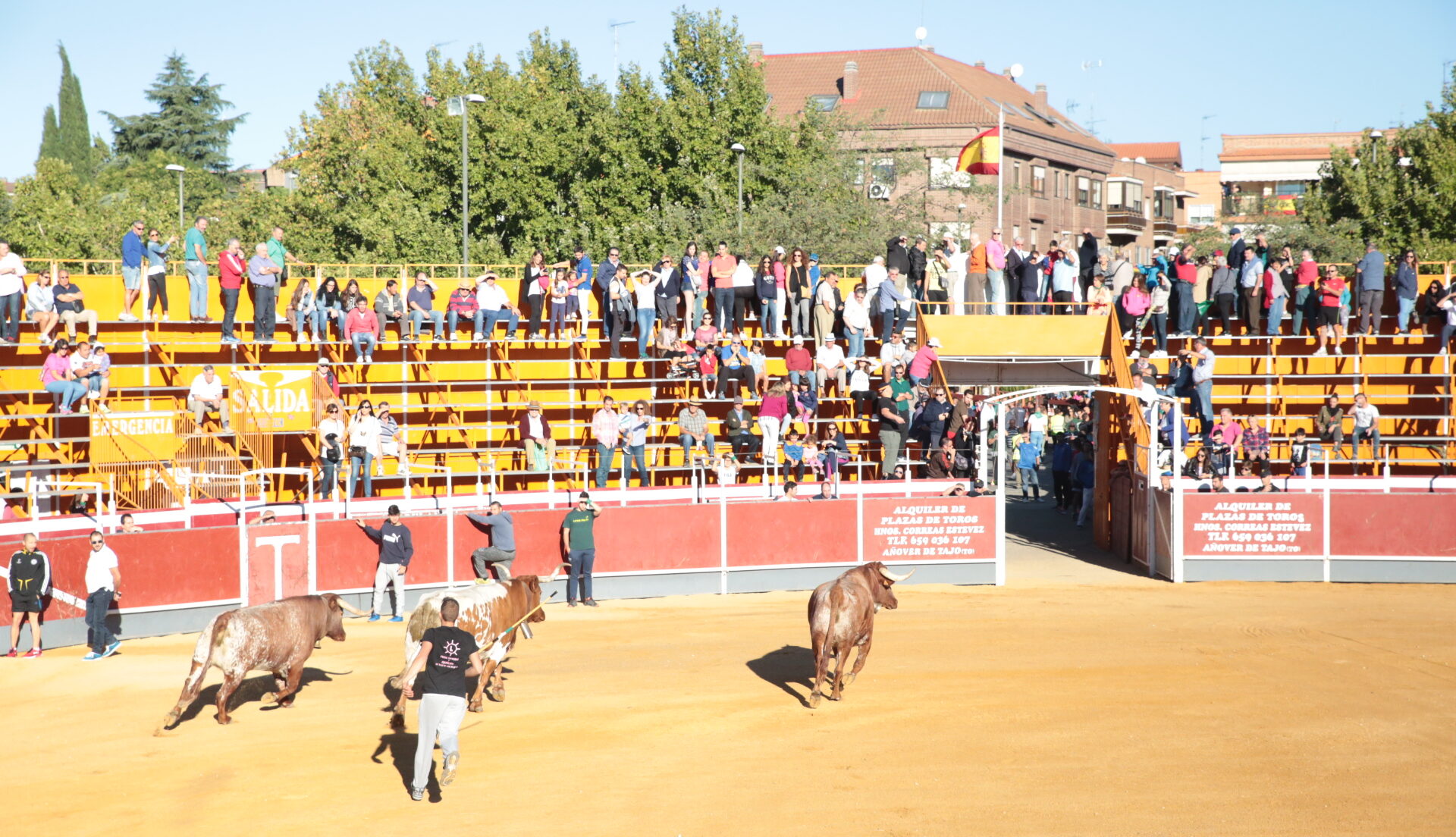 Boadilla del Monte programa una novillada con caballos para el 1 de octubre