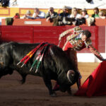 Olivenza (Badajoz), 7 de marzo de 2020.