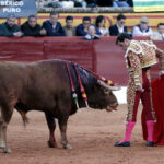 Olivenza (Badajoz), 7 de marzo de 2020.