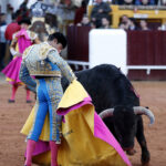 Olivenza (Badajoz), 7 de marzo de 2020.