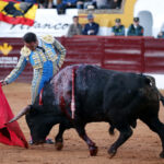 Olivenza (Badajoz), 7 de marzo de 2020.