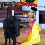 Olivenza (Badajoz), 7 de marzo de 2020.