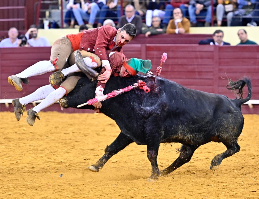 Lisboa, sábado 29 de febrero de 2020