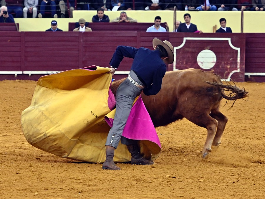 Lisboa, sábado 29 de febrero de 2020