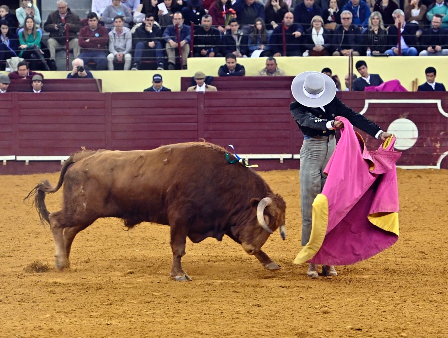 Lisboa, sábado 29 de febrero de 2020