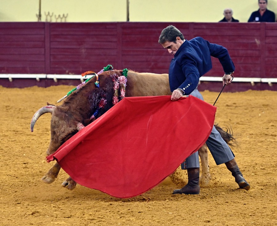 Lisboa, sábado 29 de febrero de 2020