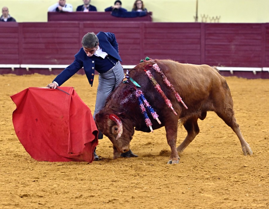 Lisboa, sábado 29 de febrero de 2020