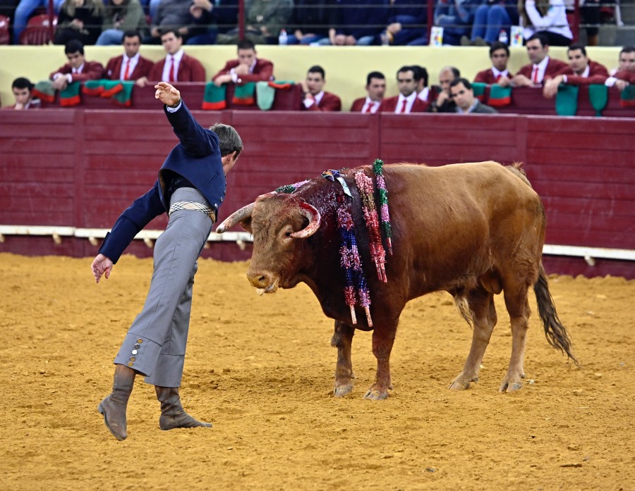 Lisboa, sábado 29 de febrero de 2020