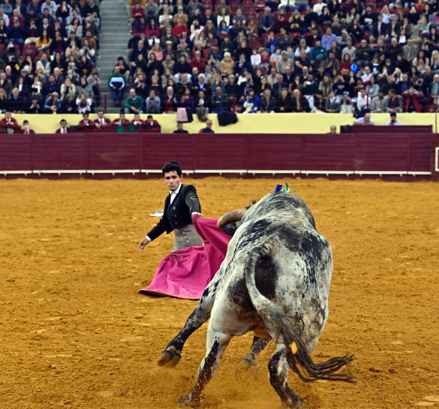 Lisboa, sábado 29 de febrero de 2020