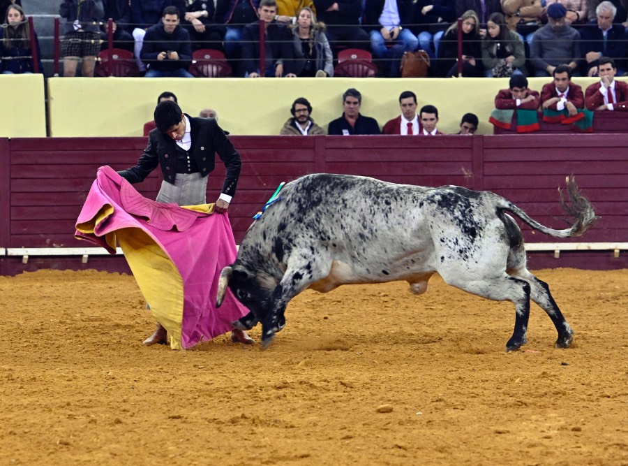 Lisboa, sábado 29 de febrero de 2020