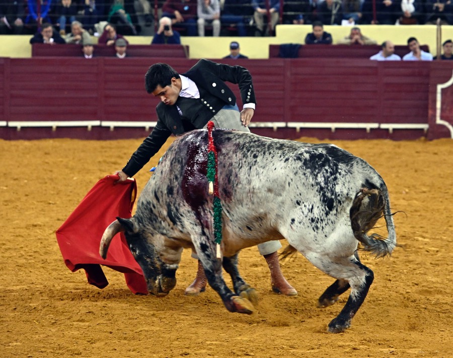 Lisboa, sábado 29 de febrero de 2020