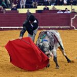 Lisboa, sábado 29 de febrero de 2020