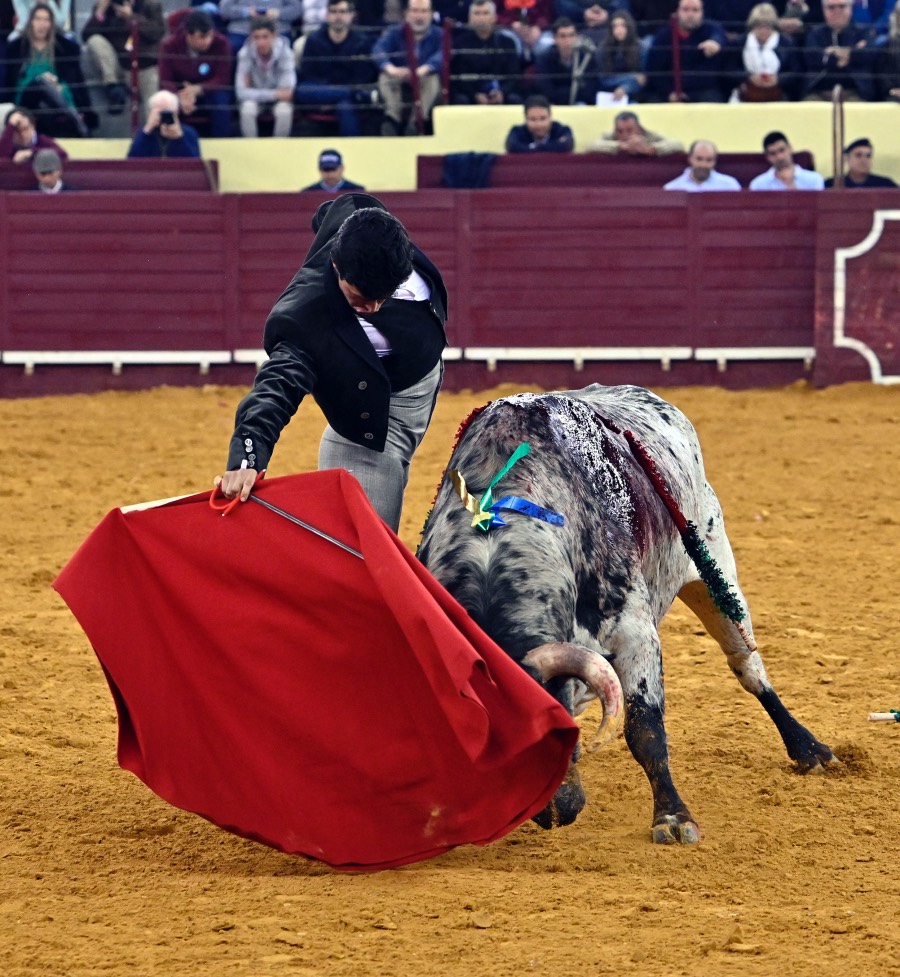 Lisboa, sábado 29 de febrero de 2020