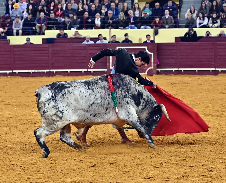 Lisboa, sábado 29 de febrero de 2020