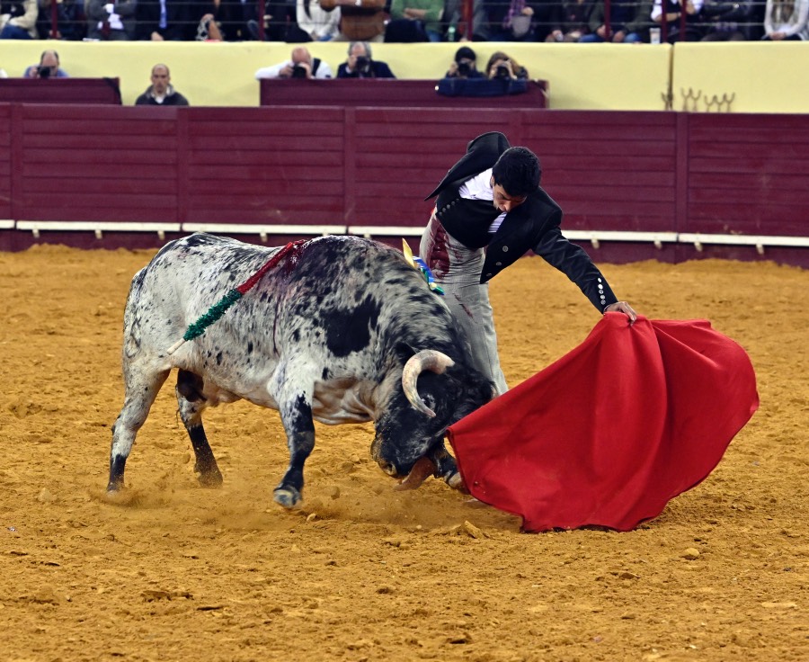 Lisboa, sábado 29 de febrero de 2020