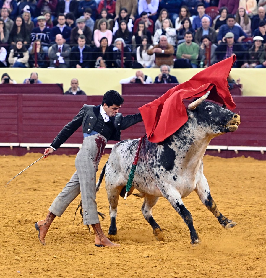 Lisboa, sábado 29 de febrero de 2020