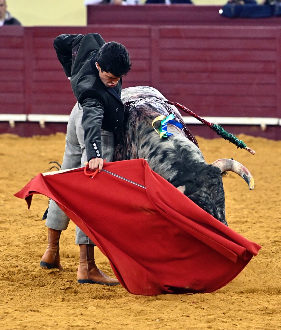 Lisboa, sábado 29 de febrero de 2020