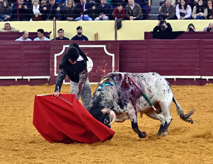 Lisboa, sábado 29 de febrero de 2020