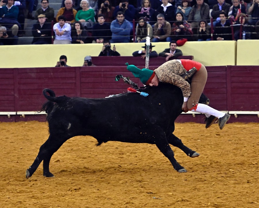 Lisboa, sábado 29 de febrero de 2020