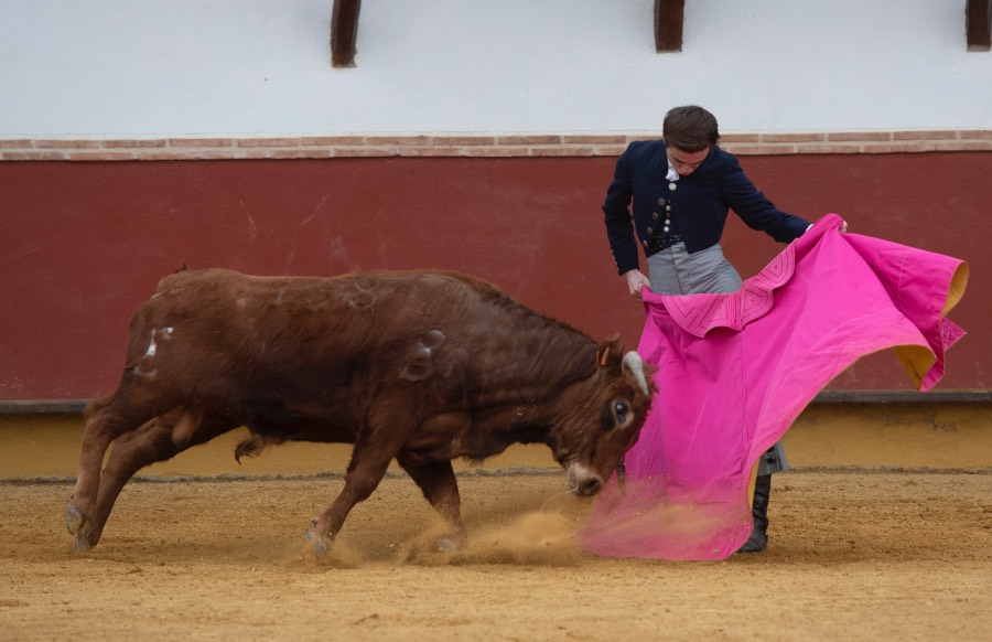 Homenaje de la Fundación El Juli a los médicos taurinos