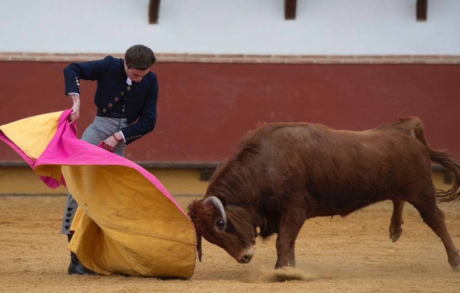 Homenaje de la Fundación El Juli a los médicos taurinos