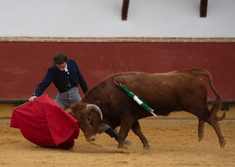 Homenaje de la Fundación El Juli a los médicos taurinos