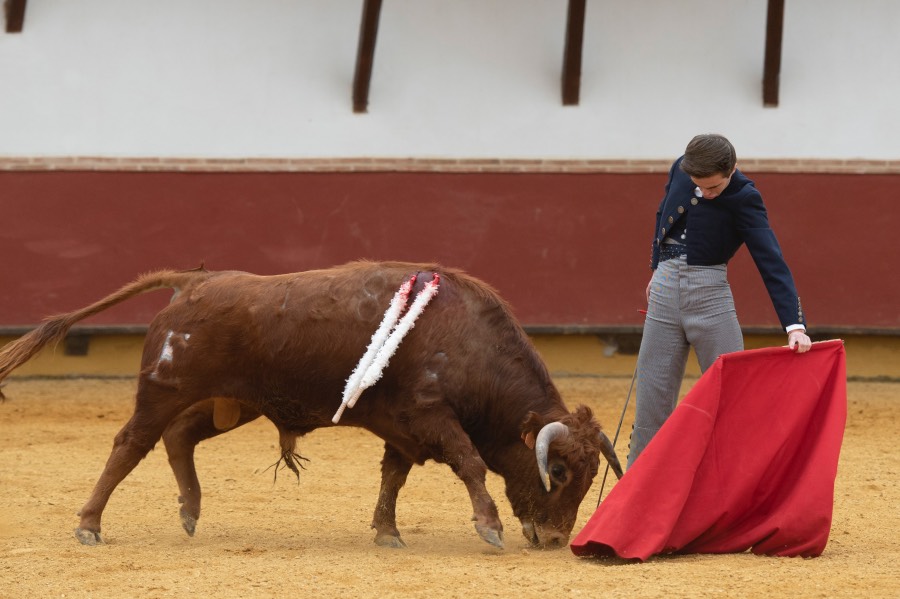 Homenaje de la Fundación El Juli a los médicos taurinos