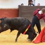 Homenaje de la Fundación El Juli a los médicos taurinos