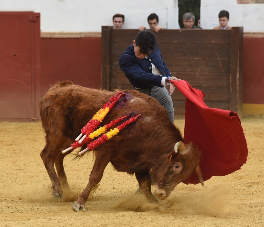 Homenaje de la Fundación El Juli a los médicos taurinos