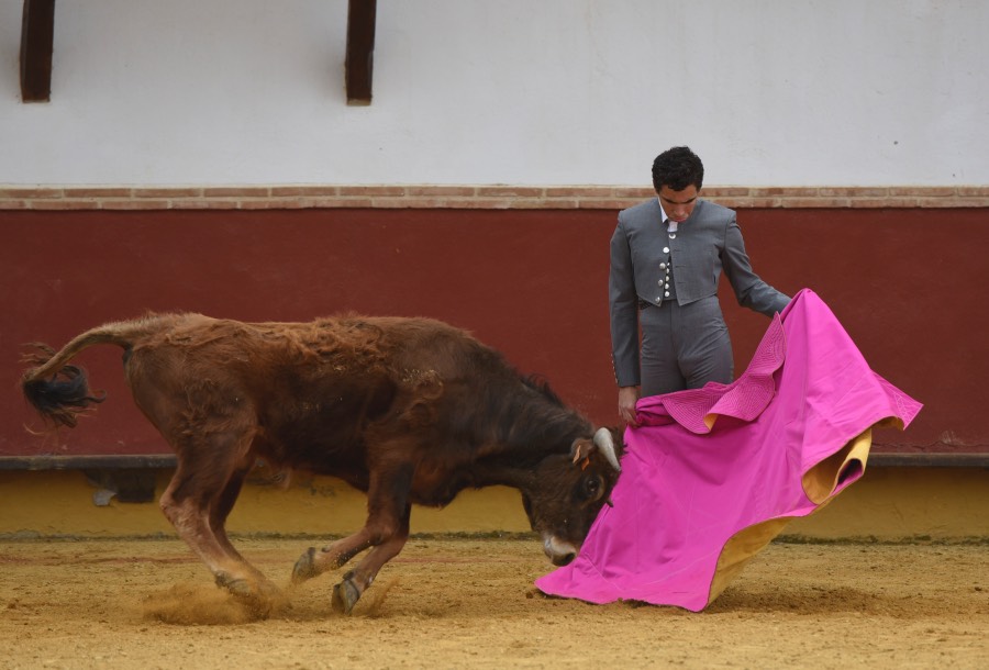 Homenaje de la Fundación El Juli a los médicos taurinos