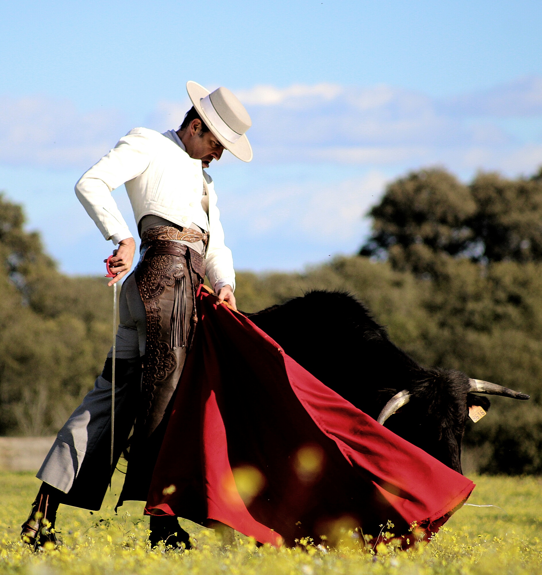 Tentadero a campo abierto