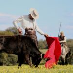 Tentadero a campo abierto