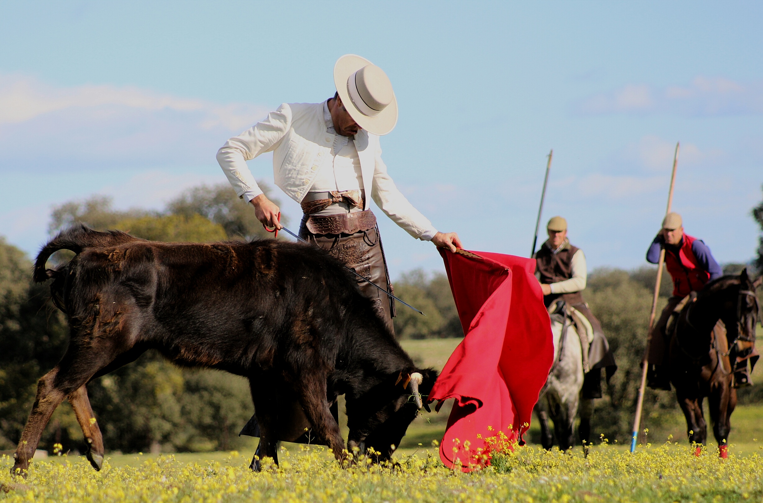Tentadero a campo abierto
