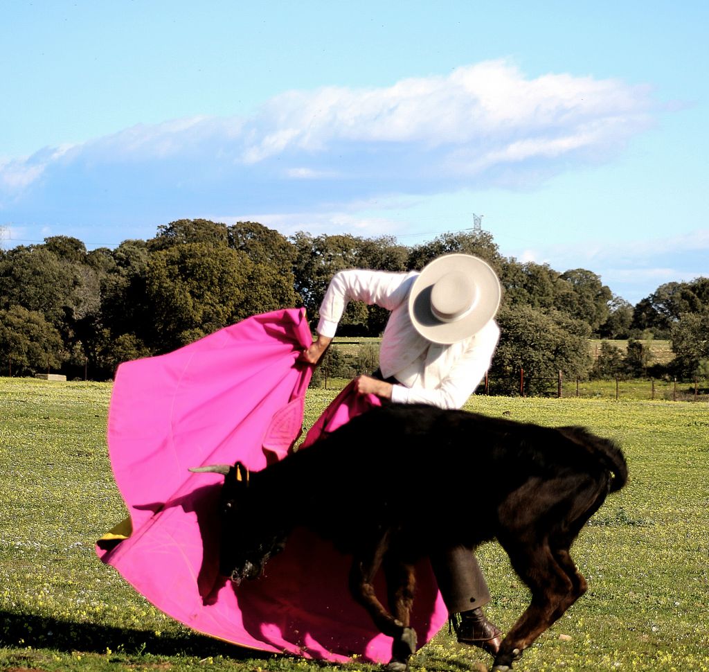 Tentadero a campo abierto