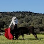 Tentadero a campo abierto