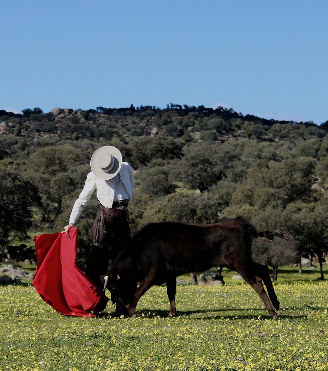 Tentadero a campo abierto