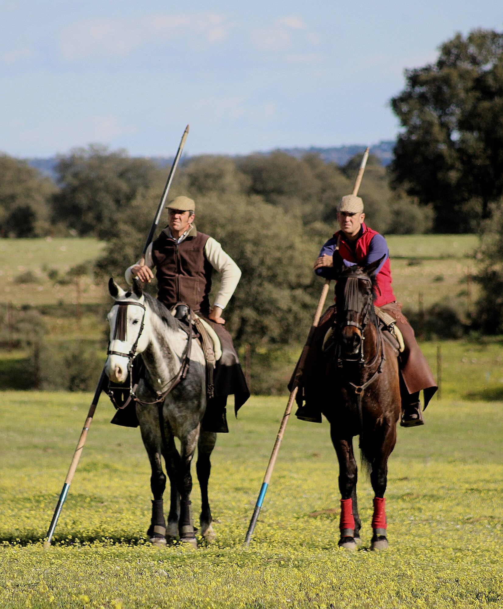 Tentadero a campo abierto