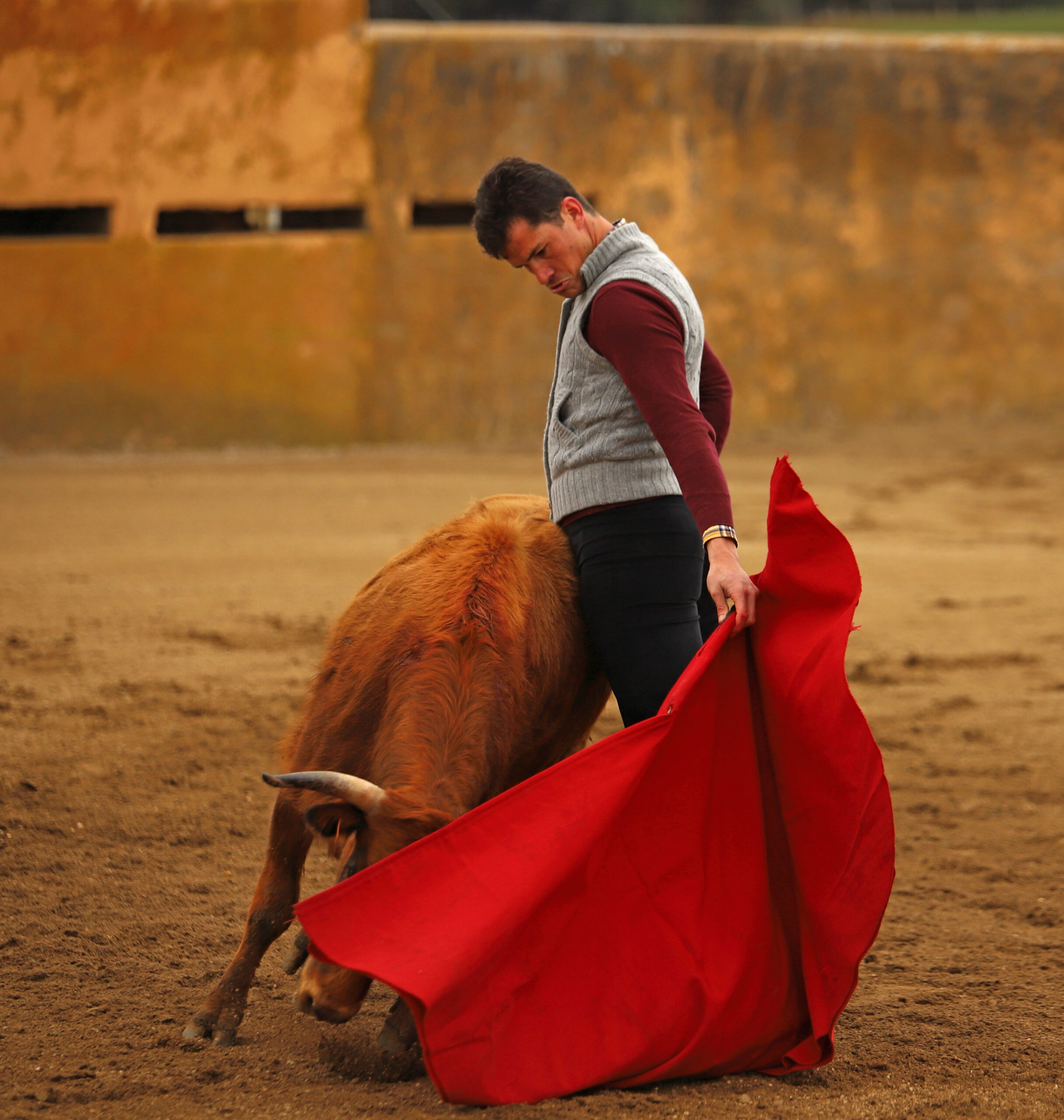 Daniel Luque en Conde de Mayalde